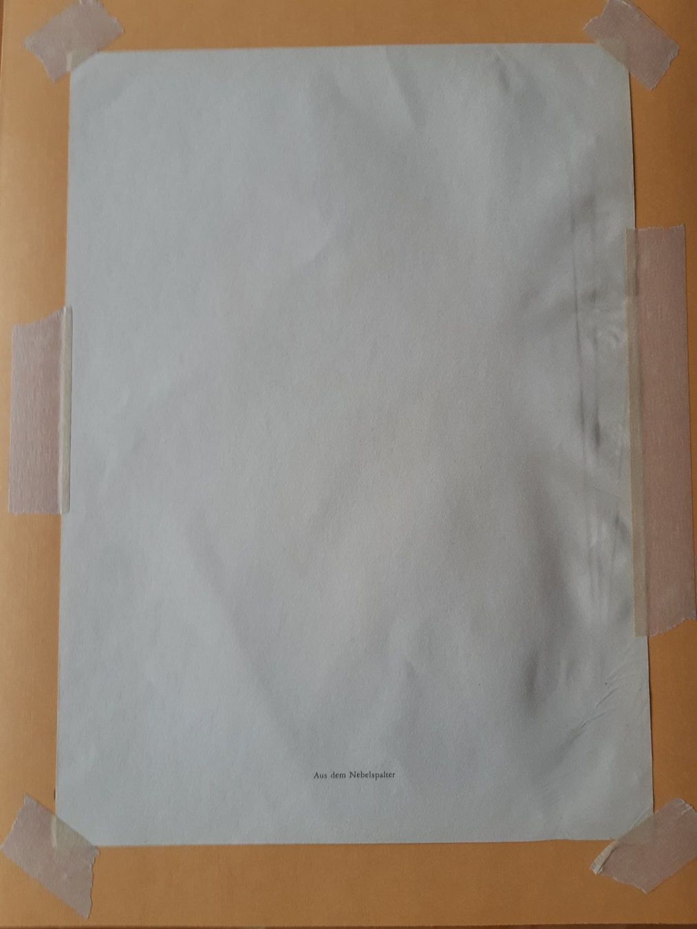 Grafica & Litografie: Nr. 12 original Litho Nebelspalter – Usato da Grindelwald venduto da carro5 3