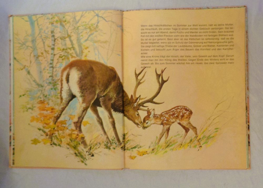 tiere-im-wald-bilderbuch-1969-ab-fr-7-gebraucht-in-bellach-f-r