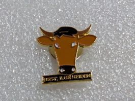Ansteckpin 250: