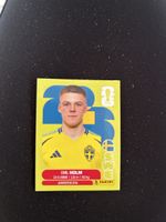 Panini SWE 5