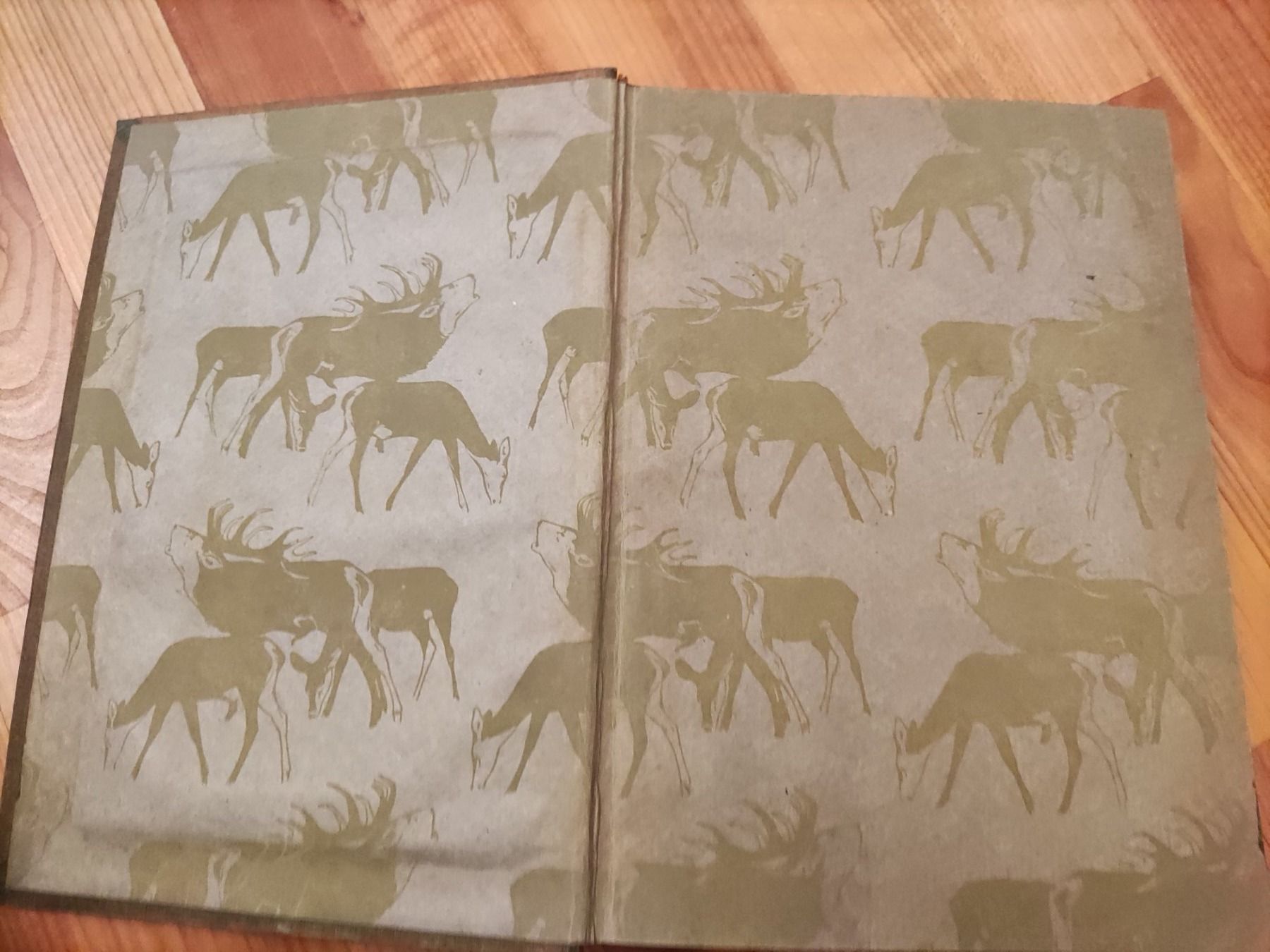Bücher: Die hohe Jagd 1920 Paray Berlin 4. Auflage – Gebraucht aus Solothurn von Csw1 2