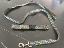 Leine sowie Halsband Set farbig