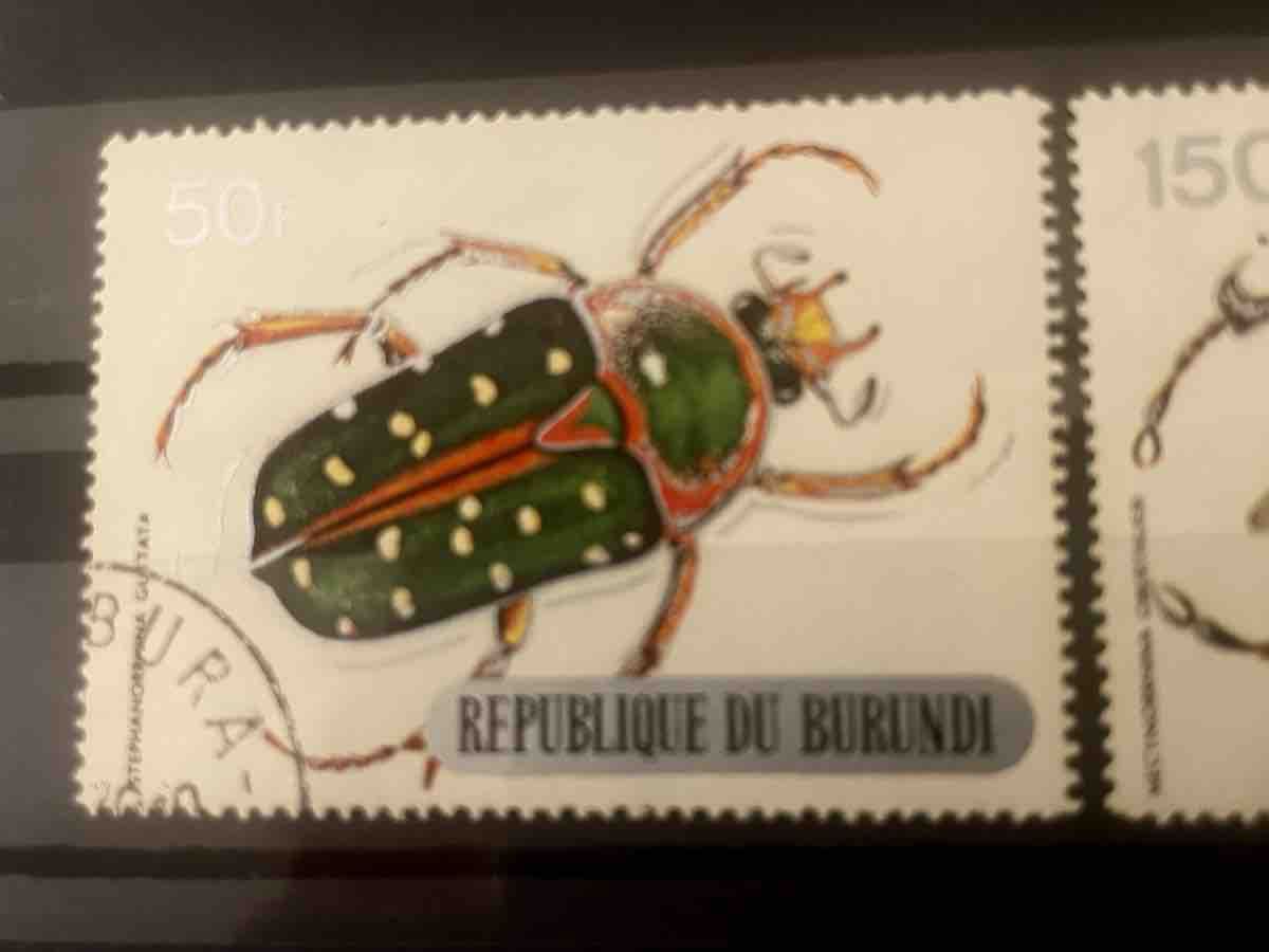 Alle Briefmarken: Briefmarken Burundi Käfer 50f und 150f – Gebraucht aus Buchs AG von fpatricia 1
