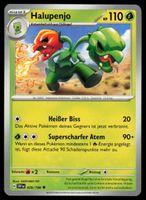 Pokemon Halupenjo 029/198