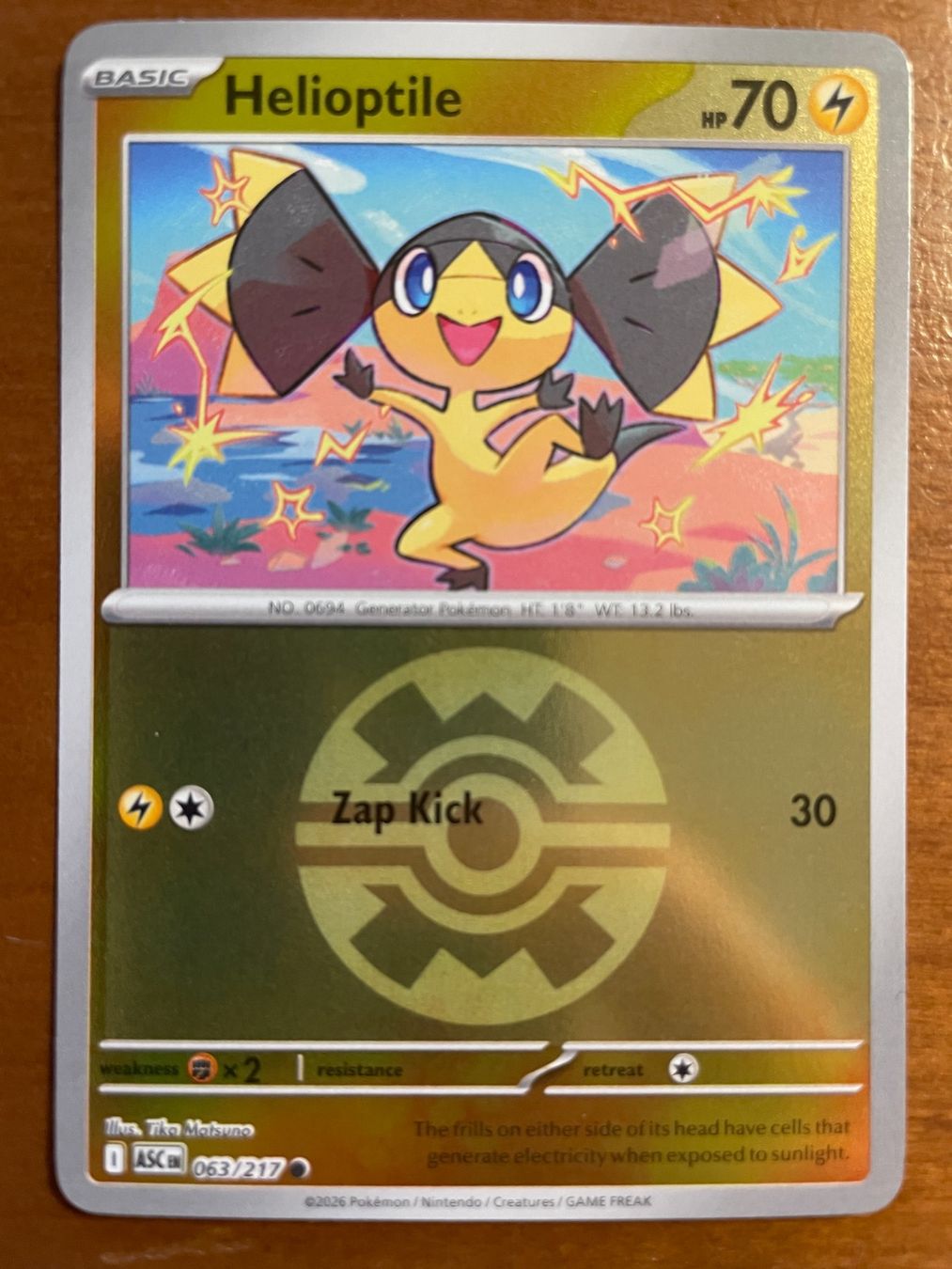 Pokémon Carte collezionabili: Pokemon Helioptile Reverse (Versand gratis) – Nuovo (secondo la descrizione) da Chur venduto da Angerson
