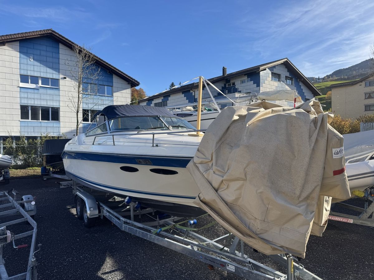 Sea Ray Boote: Sea Ray Cuddy Cabin – Gebraucht aus Wilen b. Wollerau von Loonyacht