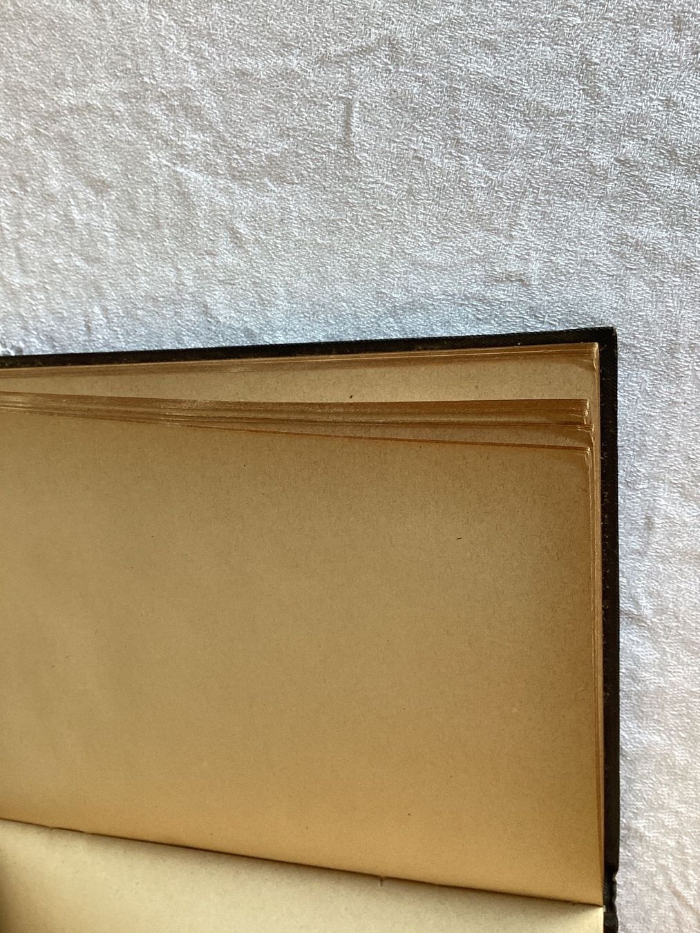 Libri: Anciens carnets vintages vierges – Usato da Pully venduto da claddagh 8