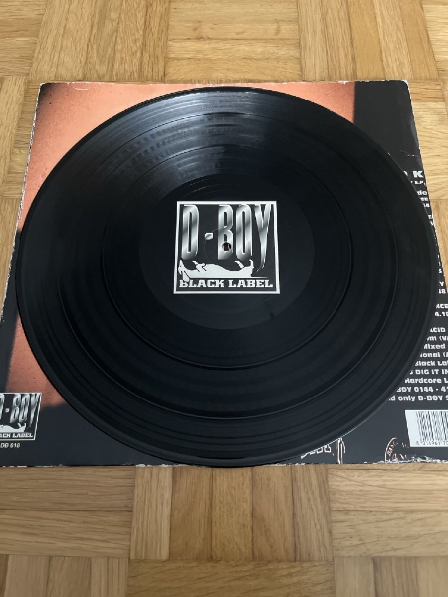 Dischi in vinile: Placid K Hardcore / Gabber Vinyl – Usato da Wangen b. Olten venduto da break72 3