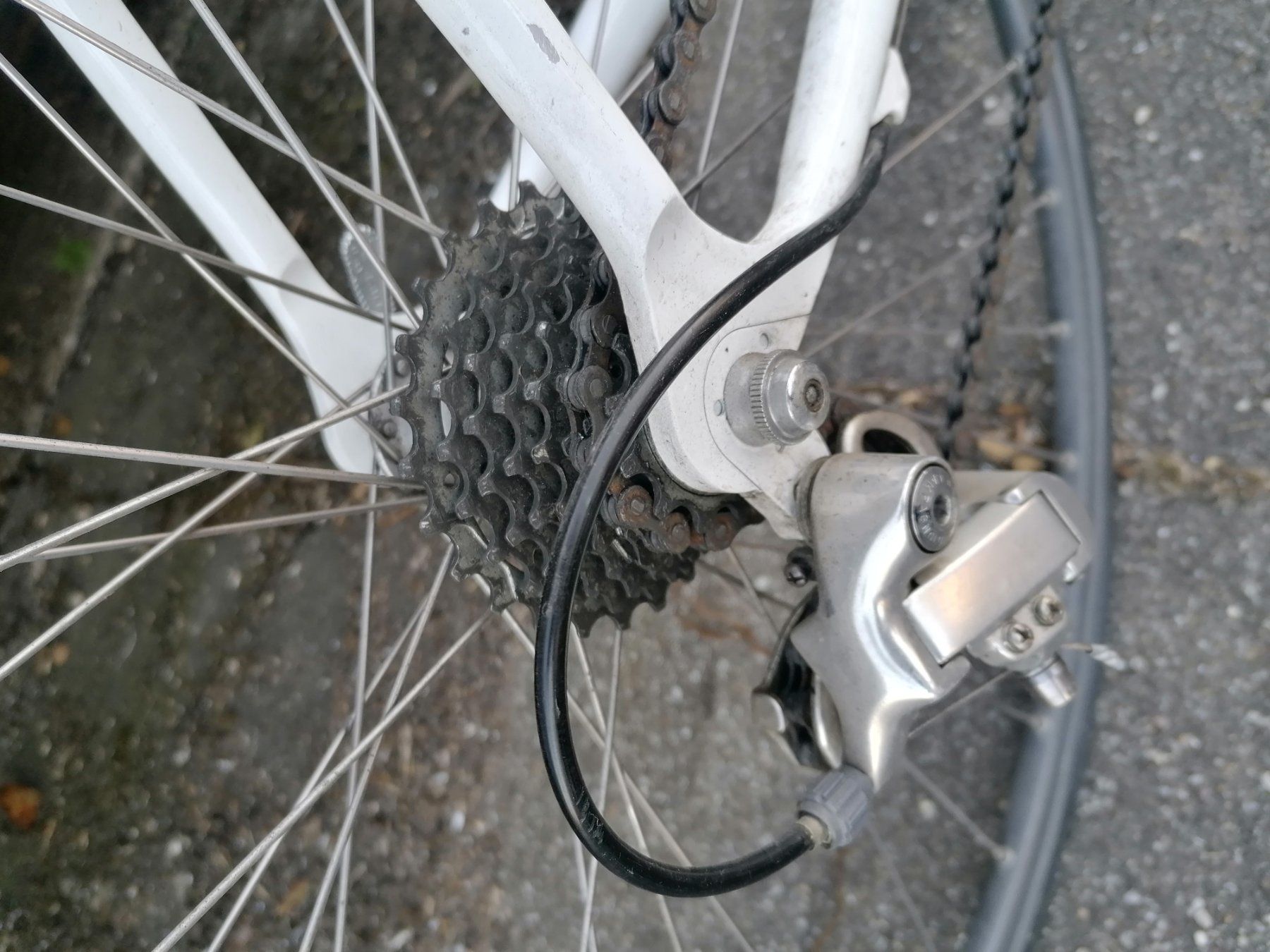 Biciclette: Renn-Velo REFINER Allu. – Usato da Biel / bienne venduto da Sarouch9 5
