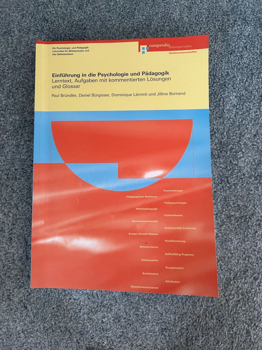 Libri: Akad/Compendio Matura Lernbücher – Usato da Hedingen venduto da Dimitri125 2