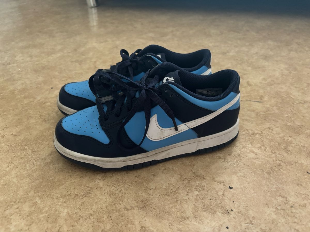 Nike Scarpe da uomo: Nike Dunk Low – Usato da Rechthalten venduto da Stephi_03