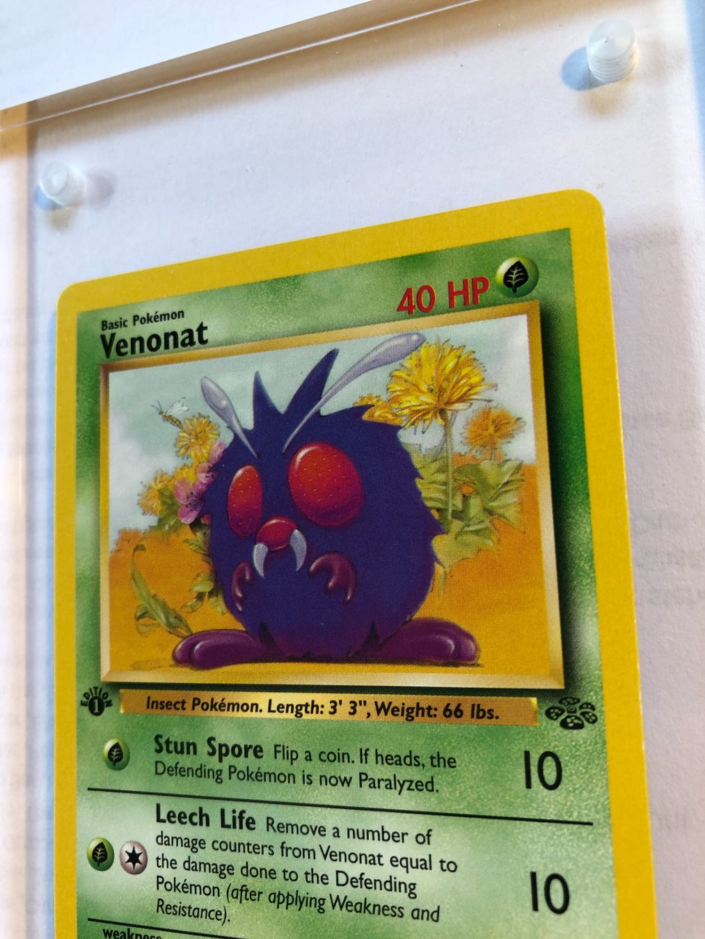 Cartes à collectionner: Venonat 1st Jungle - NM - ab 1.- – D'occasion à Giubiasco par dan_pr8b 3