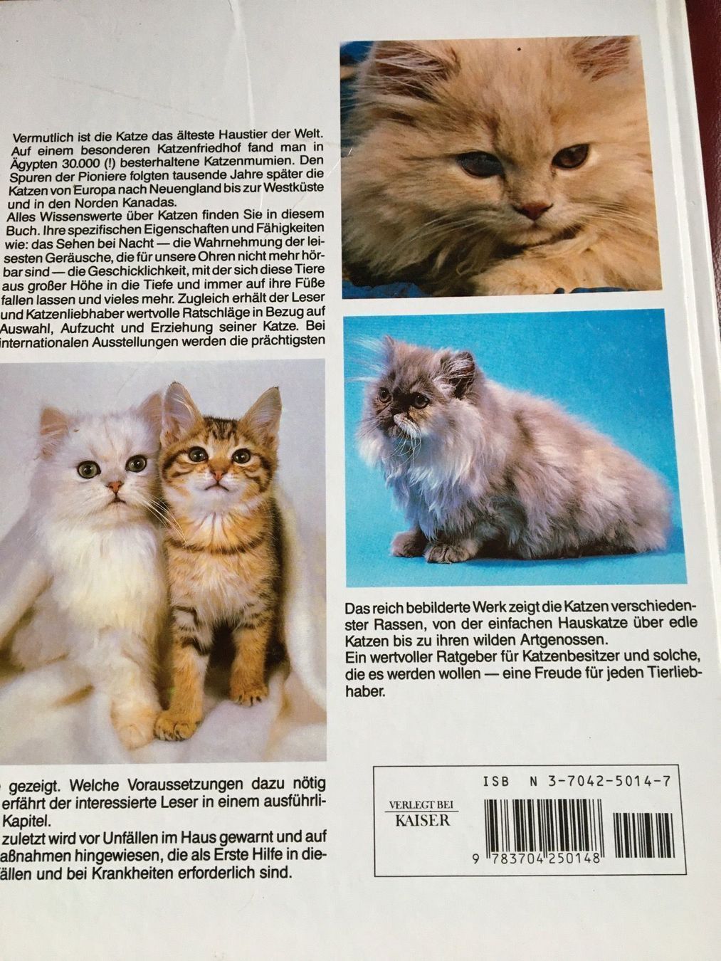 Bücher: Das grosse Katzenbuch – Gebraucht aus Arth von Vrecam51 4