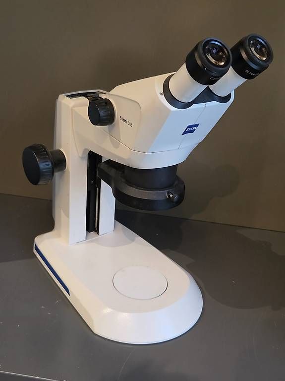 Zeiss Microscopi: Zeiss Stemi 305 Mikroskop mit – Usato da Luzern venduto da Cookie.Monster