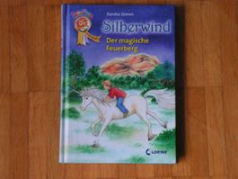 Leselöwen  Silberwind  Der magische Feuerberg