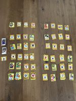 > 450 Panini Bilder Fussball WM 2026