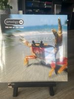 Prodigy / Fat of the Land 