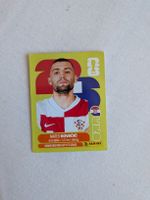 Panini Bild CRO 10