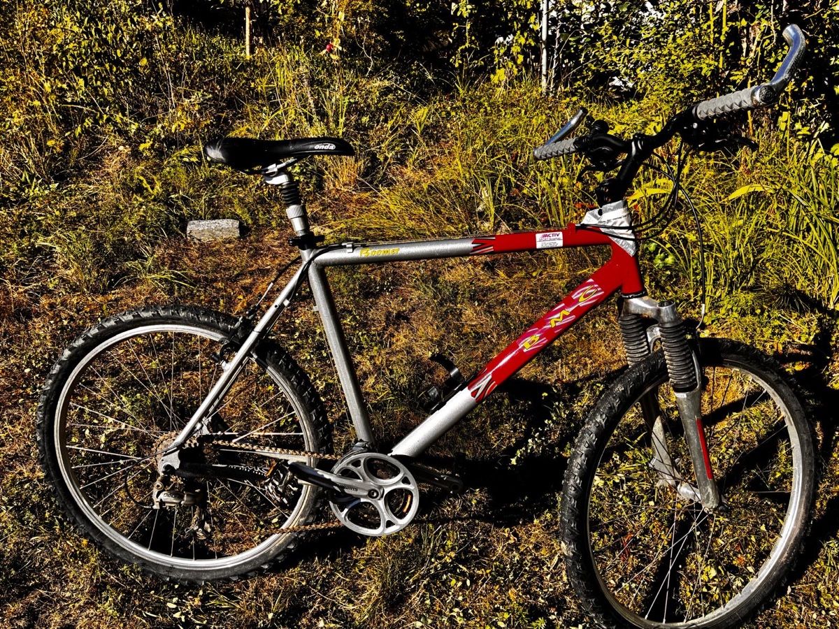 BMC Vélos: Mountainbike BMC – D'occasion à Winterthur par ActionDiscmac