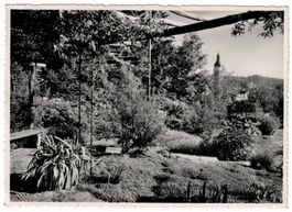 St. Gallen-Ost, Botanischer Garten, Teilansicht, um 1945