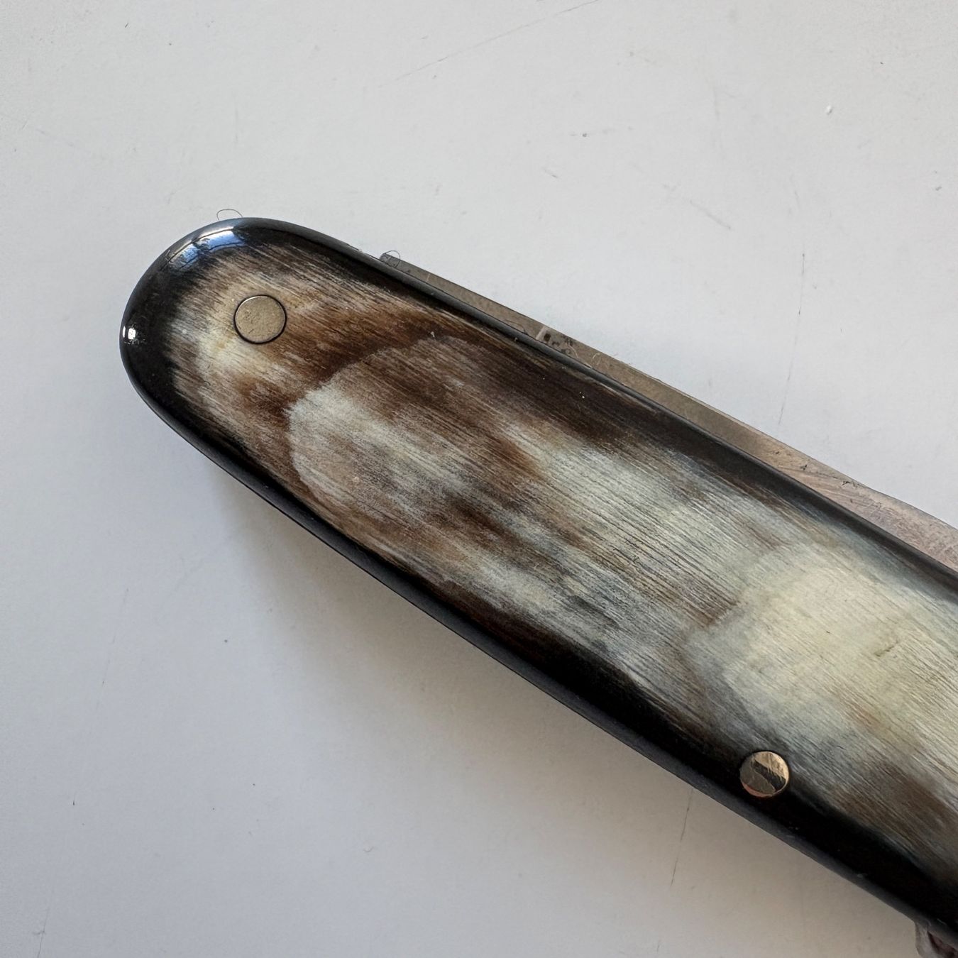 Coltelli tascabile: Sackmesser / Taschenmesser Hornschalen – Usato da Zürich venduto da Malf_007 6