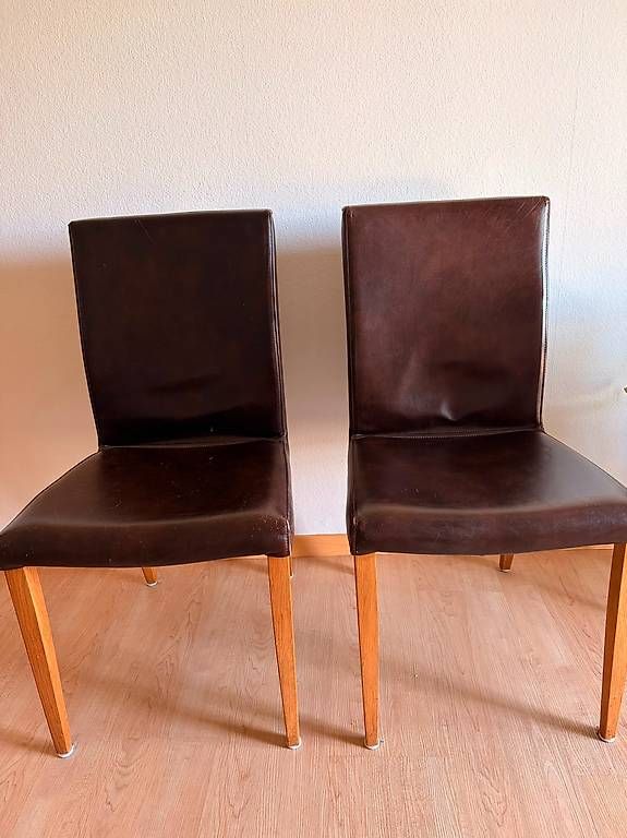 Stühle: Leder Stühle – Gebraucht aus Erlenbach ZH von lilie_93 1