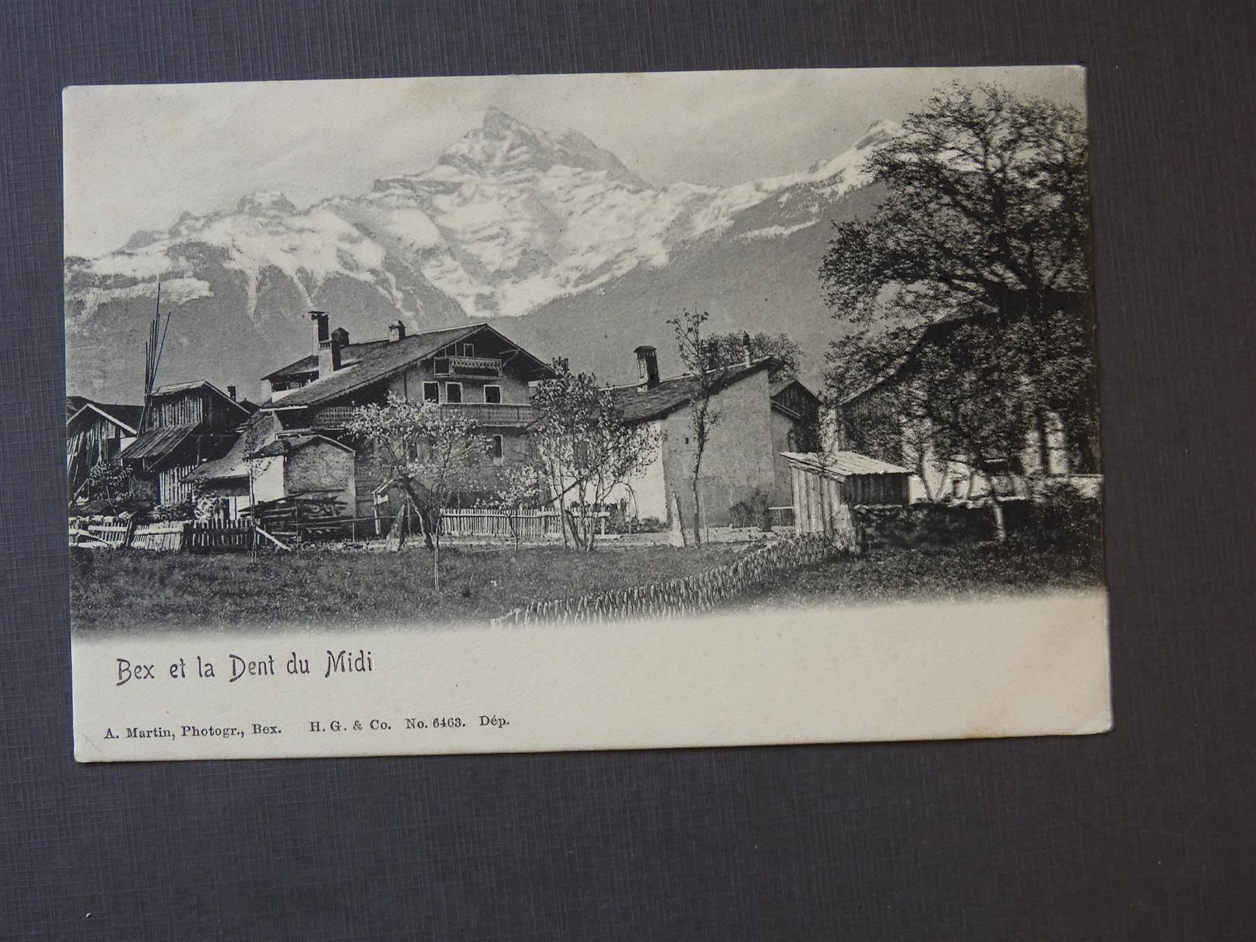 Cartoline postali: AK von  Bex et la Dent du Midi – Usato da Rain venduto da 999-800-K