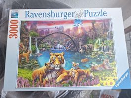 Ravensburger Puzzle 3000 Teile Tiger Motiv