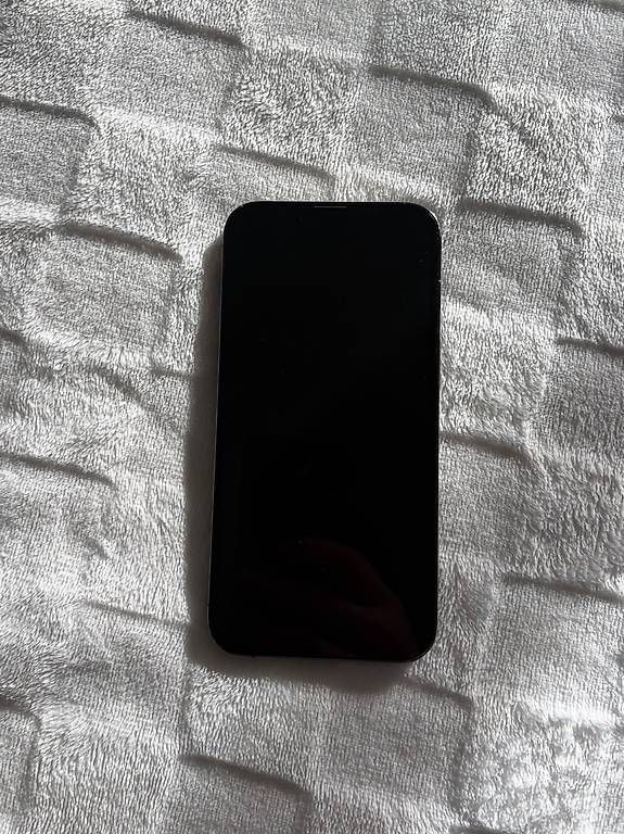 Apple Telefoni cellulari / Smartphones: iPhone 13 pro 256 GB – Usato da Interlaken venduto da luu_7d25 1