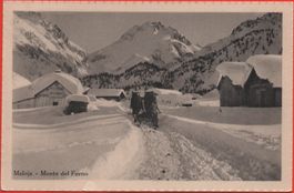MALOJA Monte del Forno - Pferde-Schlitten