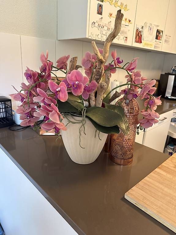 Alle Dekorationen: Künstliche Orchideen – Gebraucht aus Schindellegi von wae_fhj7 1