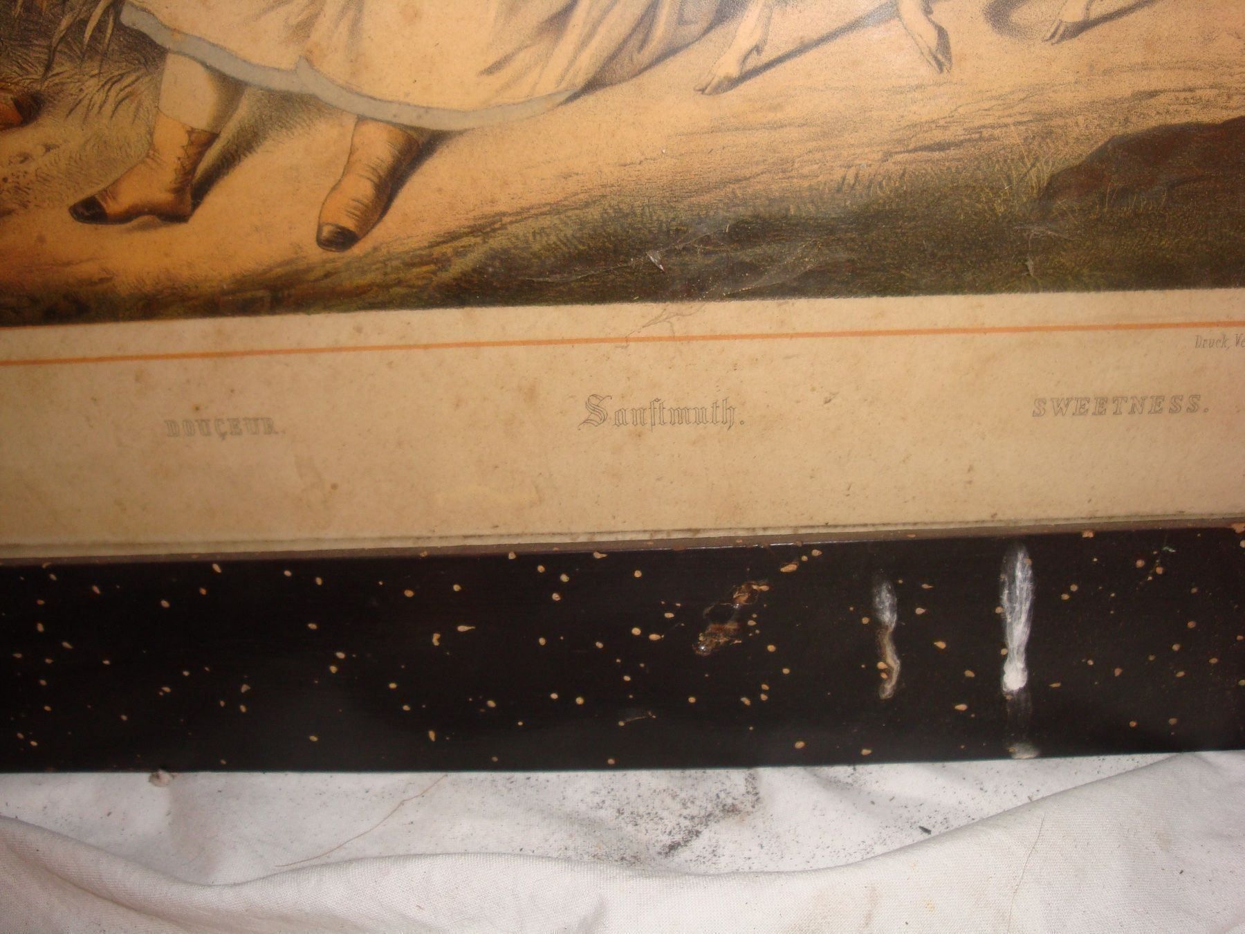 Foto & Immagini: farbige Litho 19. Jahrhundert – Usato da häusernmoos venduto da buc_8ftk 3