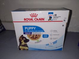 Royal Canin Puppy maxi 14 x 140g