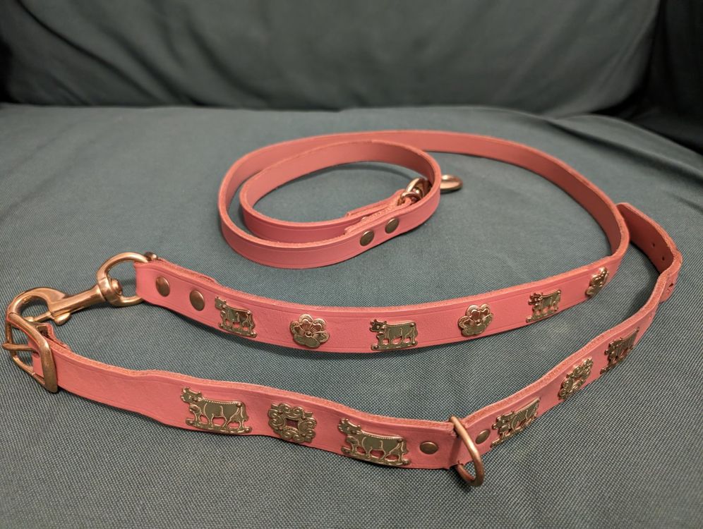 Appenzeller Hundeleine und Halsband | Kaufen auf Ricardo
