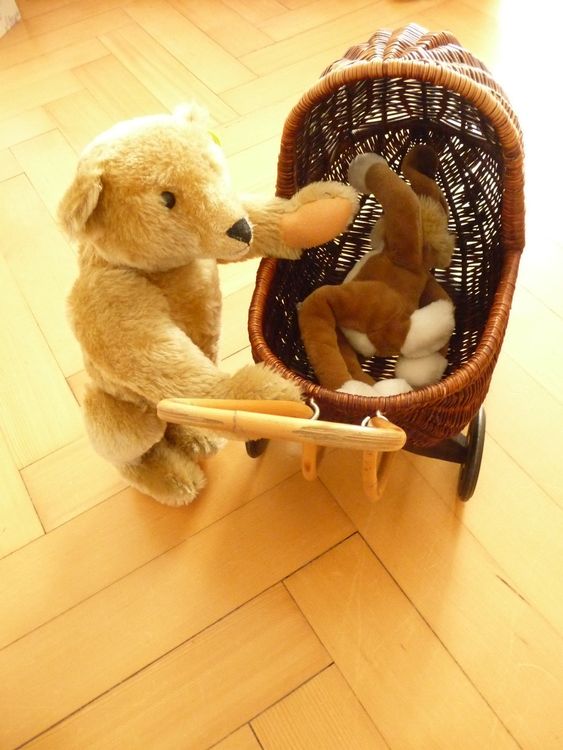 Orig. Steiff Teddybär (neu) (Knopf im Ohr) mit Brummstimme Kaufen auf Ricardo