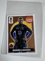 Extra stricker Caicedo Bronze