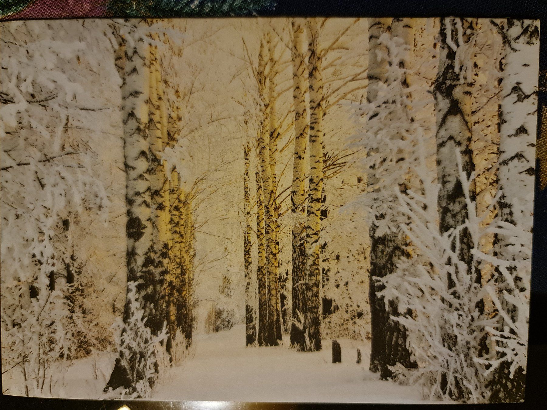 Cartoline: Grusskarte Schnee Winter Wald – Nuovo (secondo la descrizione) da Dintikon venduto da Vexi
