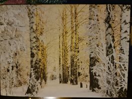 Grusskarte Schnee Winter Wald