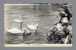 LAC LÉMAN, GARCONS, JOLIE CARTE *