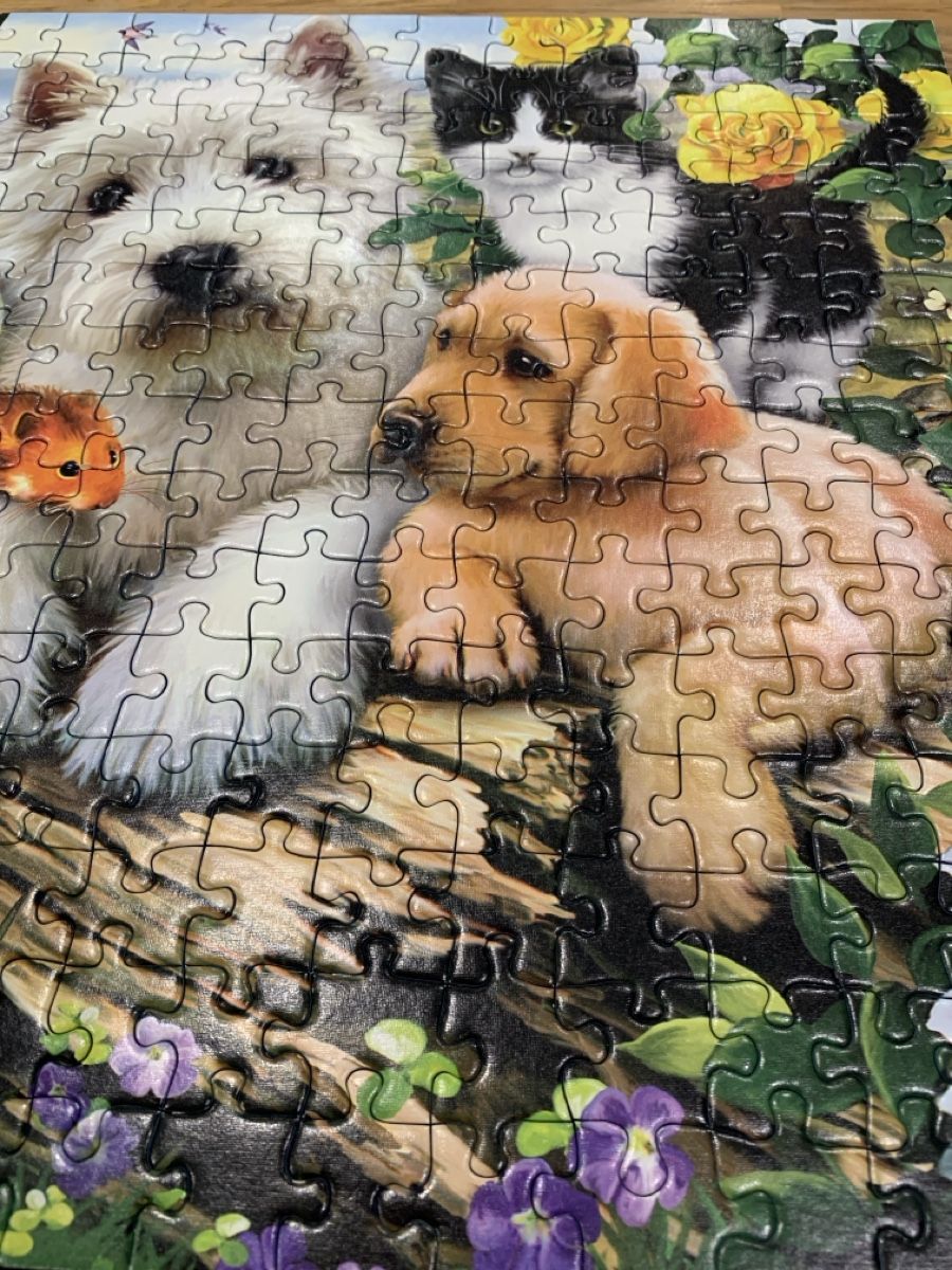 Puzzles: Ravensburger Puzzles 2x 300 pièces – Neuf (Voir description) à Prilly par Sissi_1009 5