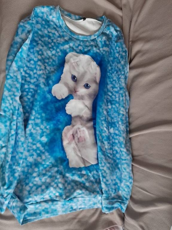 T-Shirts: 2 Shirt gr. 1XL – Gebraucht aus Ostermundigen von deb1deb1 1