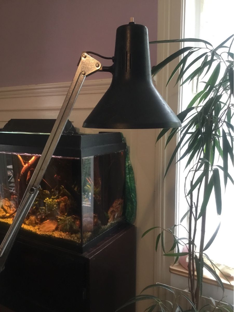 Lampade: Architekten Lampe Vintage – Usato da Schlieren venduto da Jeajet 6