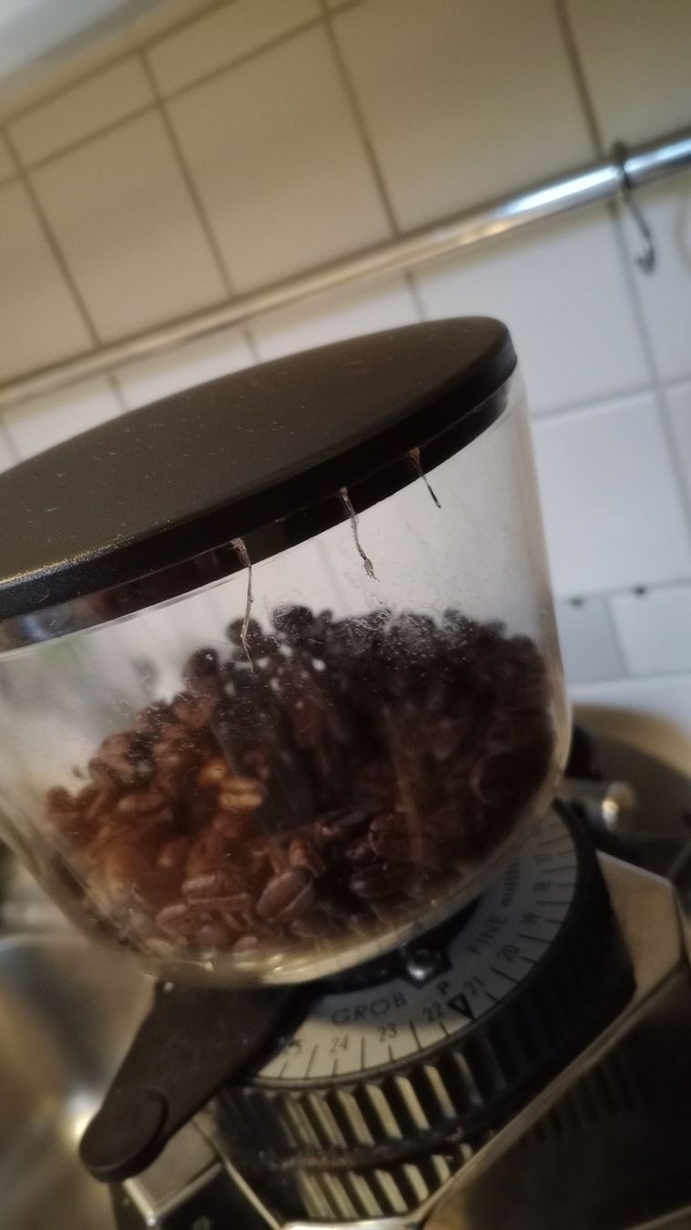 Profitec Macchine per caffè & Macchine per espresso: Profitec Mühle Pro M54 – Usato da Bern venduto da masgarro 4