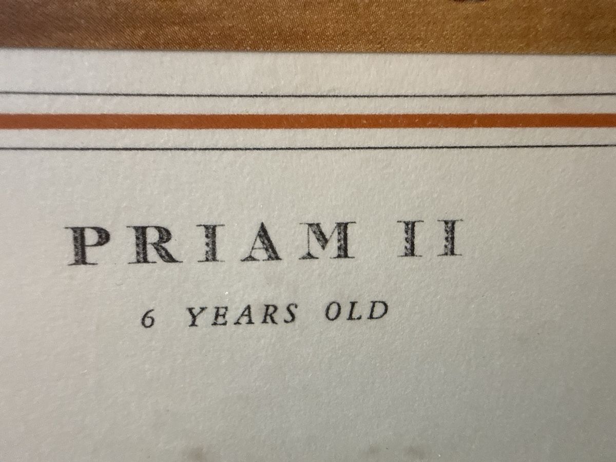 Incisioni: Offset intitulé « PRIAM. II » – Usato da Schmitten FR venduto da Hohezelg 2