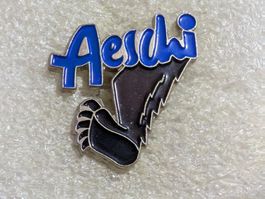 Ansteckpin 159: Aeschi