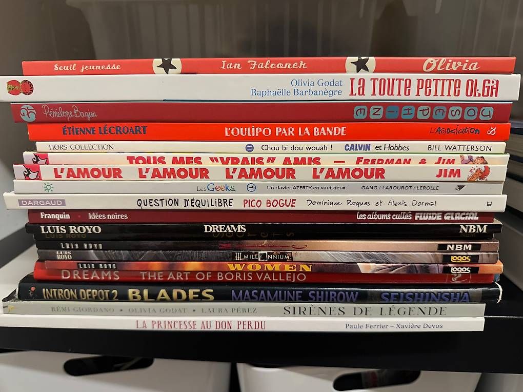 Fumetti: BANDES DESSINÉES & ILLUSTRATION – Usato da Longirod venduto da asterisqume