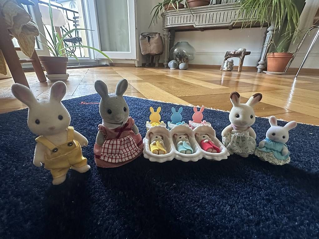 Sylvanian families Spielzeuge: Grand ensemble Sylvanians – Gebraucht aus Lausanne von aoc1972 2