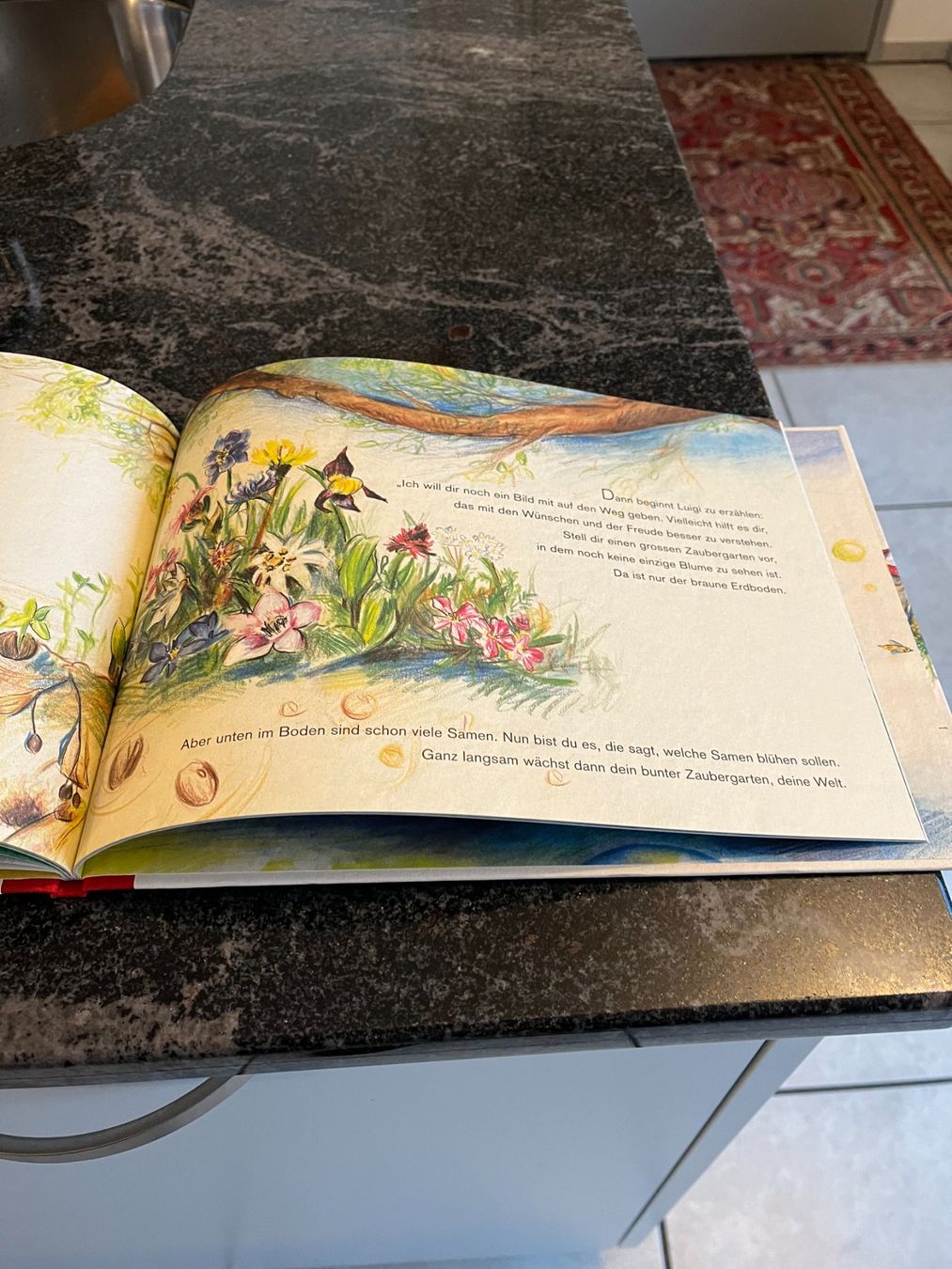 Libri: Kinderbuch, "Zauberkind" Sandra Schuster & Rita Polajnar Top – Usato da Zürich venduto da Roulet 7