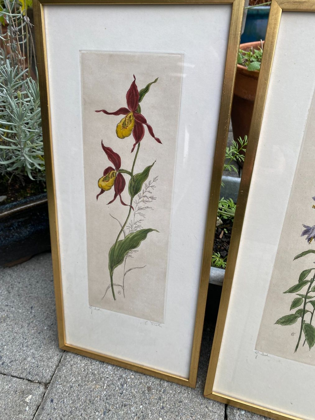 Poster & Bilder: Handgemachte Blumenbilder, 1962 – Gebraucht aus Unterengstringen von Dale2 7