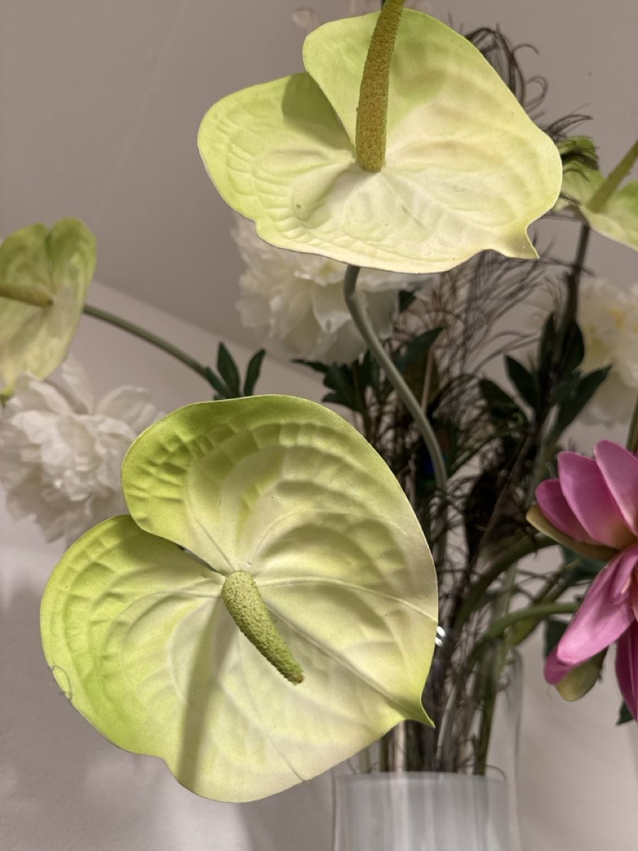 Tutte le decorazioni: Seidenblumen, Kunstblen, Pfauenfedern, Silberlinge – Usato da Wangen SZ venduto da Chafler78 2